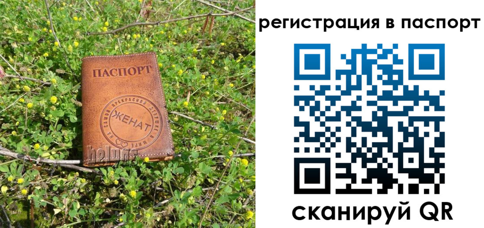 прописка законно в Талдоме